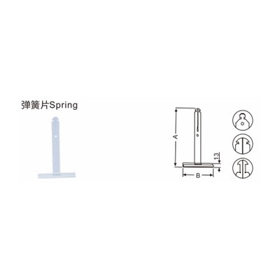 Spring pentru Shutter